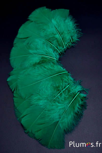 Dinde - 6-8 cm - vert 